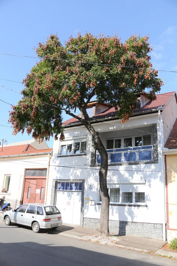 Hotel Hív-Lak Apartman Eger Exteriér fotografie